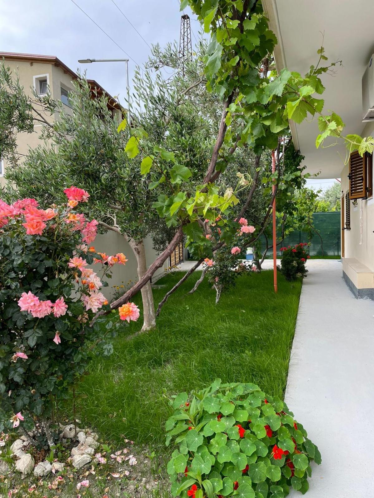 Blossom Apartments Vlorë Exterior foto